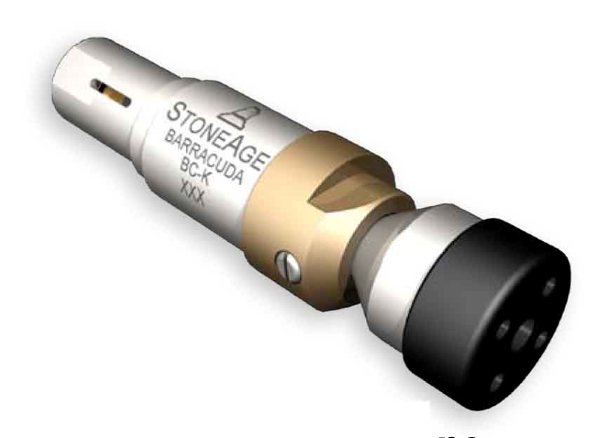 StoneageBarracuda���^